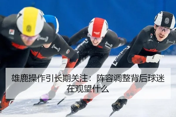 雄鹿操作引长期关注：阵容调整背后球迷在观望什么